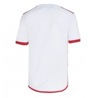 Flamengo Replica Away Shirt 2024-25 Short Sleeve